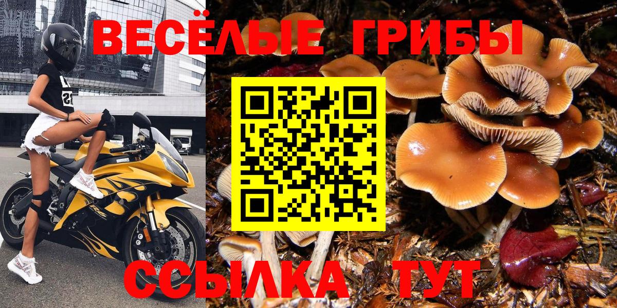 Псилоцибиновые грибы мухоморы Ливны