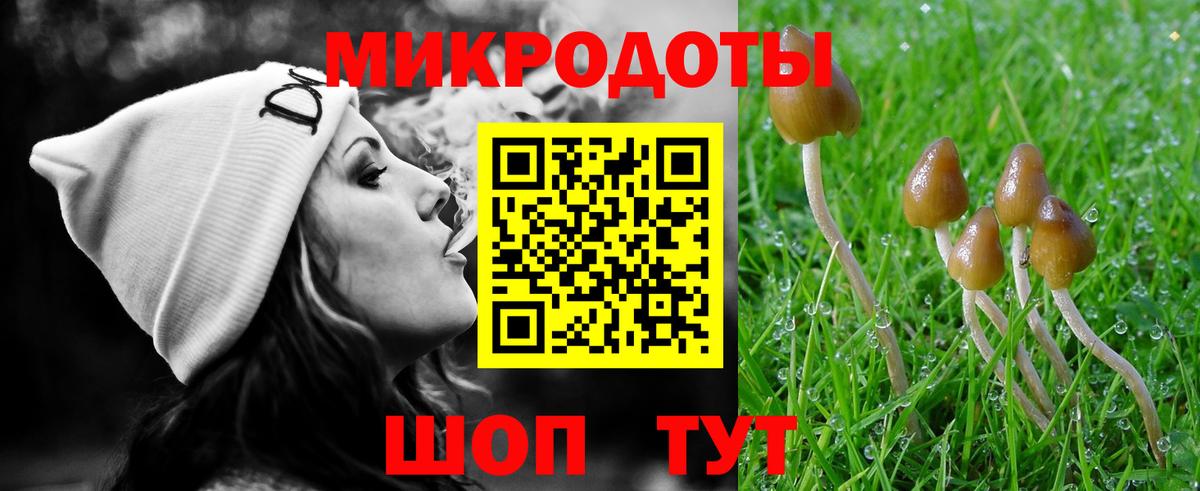 Псилоцибиновые грибы прущие грибы  Вход с VPN  купить  сайты  Ливны 